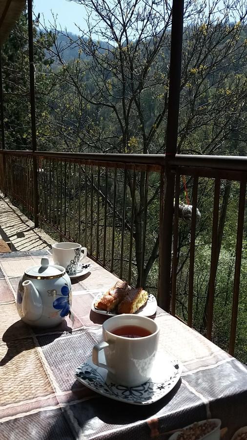 Arami Guest House Dilidżan Zewnętrze zdjęcie