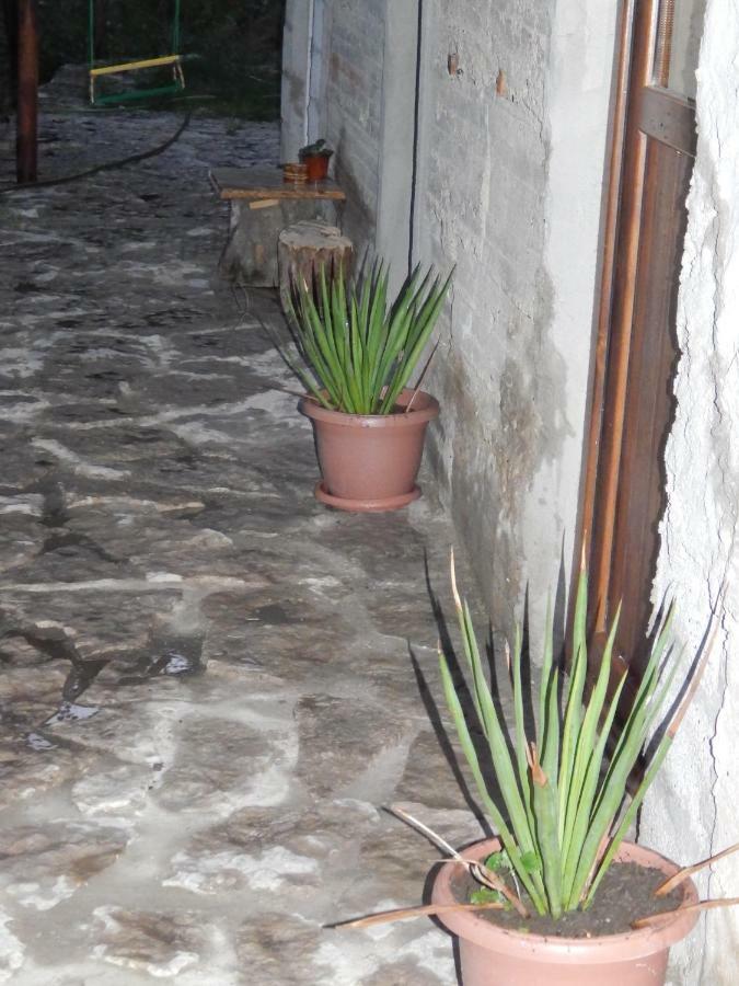 Arami Guest House Dilidżan Zewnętrze zdjęcie